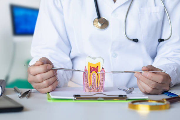 Best Emergency Dental Care for Broken or Chipped Teeth in Presidential Lakes Estates, NJ
